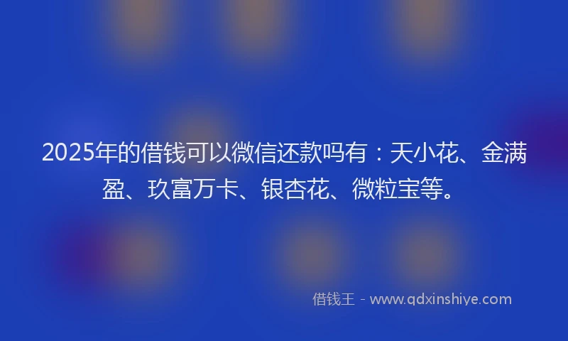2025年的借钱可以微信还款吗有：天小花、金满盈、玖富万卡、银杏花、微粒宝等。