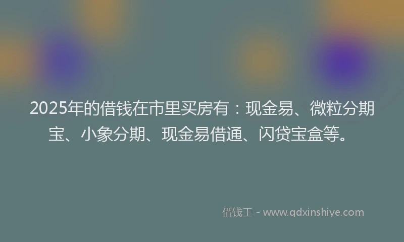 2025年的借钱在市里买房有：现金易、微粒分期宝、小象分期、现金易借通、闪贷宝盒等。
