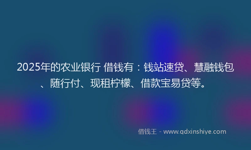 2025年的农业银行 借钱有：钱站速贷、慧融钱包、随行付、现租柠檬、借款宝易贷等。