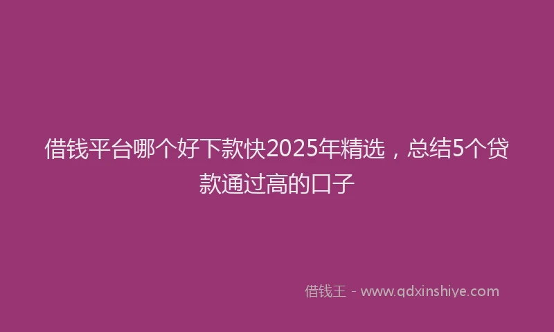 借钱平台哪个好下款快2025年精选，总结5个贷款通过高的口子
