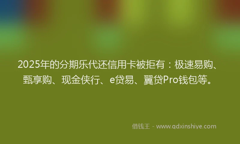2025年的分期乐代还信用卡被拒有：极速易购、甄享购、现金侠行、e贷易、翼贷Pro钱包等。