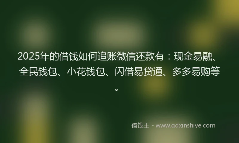 2025年的借钱如何追账微信还款有：现金易融、全民钱包、小花钱包、闪借易贷通、多多易购等。