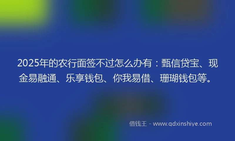2025年的农行面签不过怎么办有：甄信贷宝、现金易融通、乐享钱包、你我易借、珊瑚钱包等。
