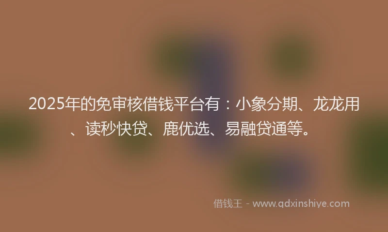 2025年的免审核借钱平台有：小象分期、龙龙用、读秒快贷、鹿优选、易融贷通等。