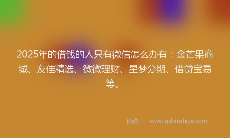 2025年的借钱的人只有微信怎么办有：金芒果商城、友佳精选、微微理财、星梦分期、借贷宝易等。