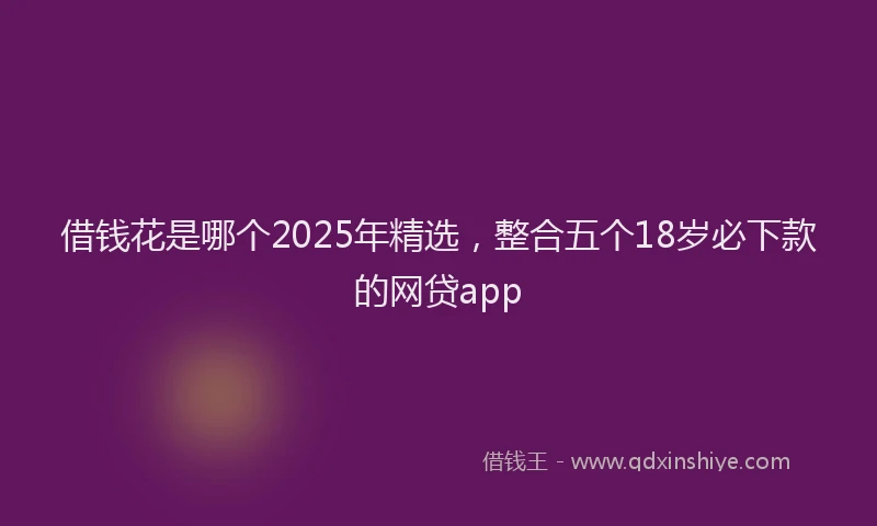 借钱花是哪个2025年精选，整合五个18岁必下款的网贷app
