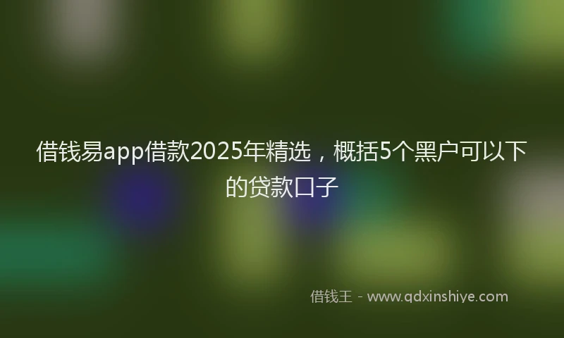 借钱易app借款2025年精选，概括5个黑户可以下的贷款口子