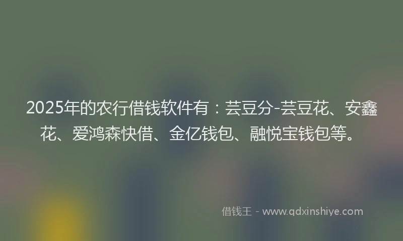 2025年的农行借钱软件有：芸豆分-芸豆花、安鑫花、爱鸿森快借、金亿钱包、融悦宝钱包等。