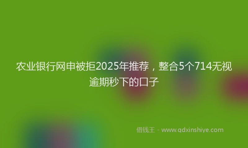 农业银行网申被拒2025年推荐，整合5个714无视逾期秒下的口子
