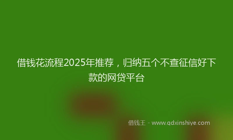 借钱花流程2025年推荐，归纳五个不查征信好下款的网贷平台