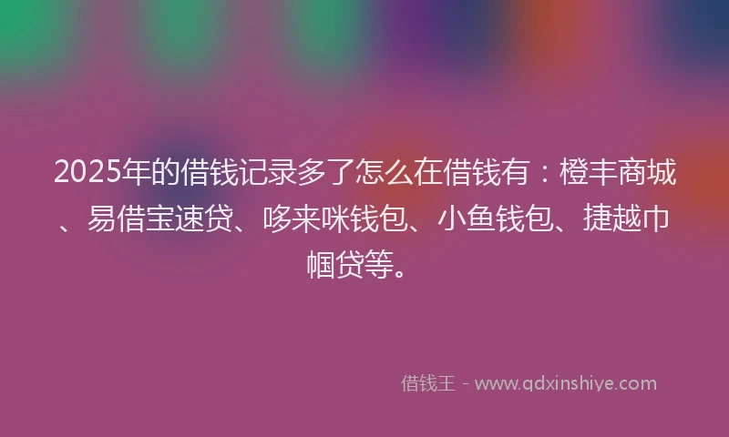 2025年的借钱记录多了怎么在借钱有：橙丰商城、易借宝速贷、哆来咪钱包、小鱼钱包、捷越巾帼贷等。