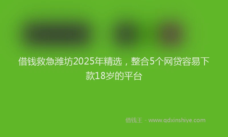 借钱救急潍坊2025年精选，整合5个网贷容易下款18岁的平台