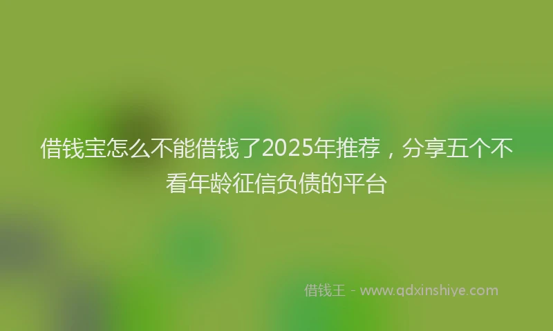 借钱宝怎么不能借钱了2025年推荐，分享五个不看年龄征信负债的平台