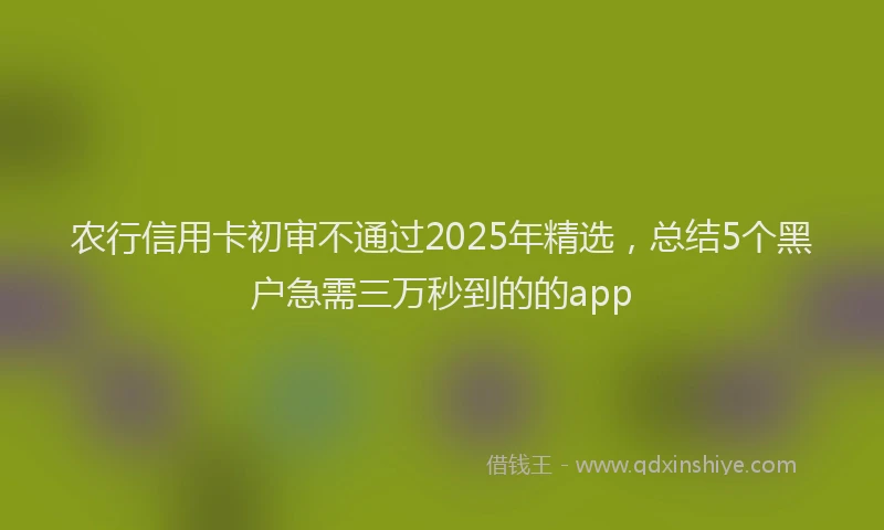 农行信用卡初审不通过2025年精选，总结5个黑户急需三万秒到的的app