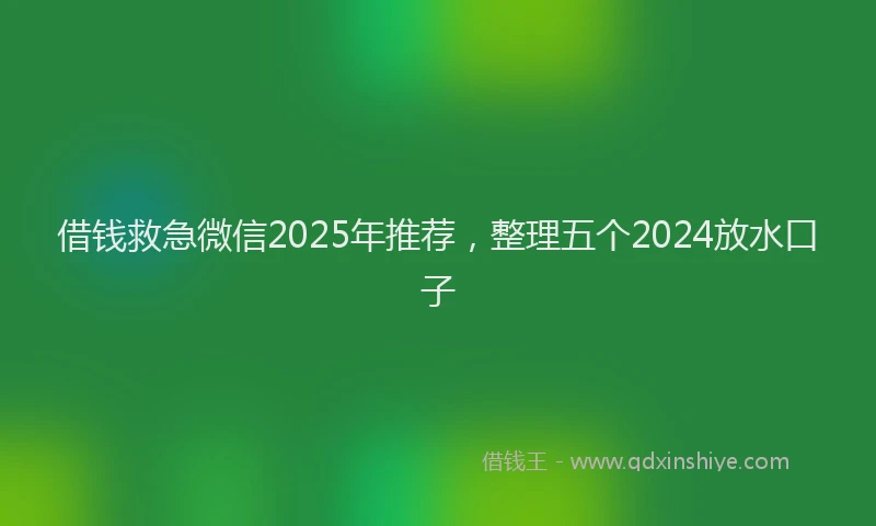 借钱救急微信2025年推荐，整理五个2024放水口子