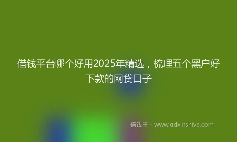 借钱平台哪个好用2025年精选，梳理五个黑户好下款的网贷口子