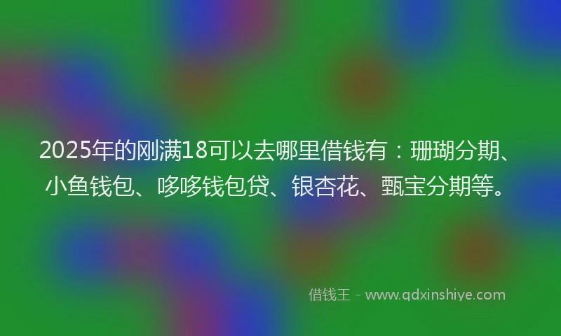 2025年的刚满18可以去哪里借钱有：珊瑚分期、小鱼钱包、哆哆钱包贷、银杏花、甄宝分期等。