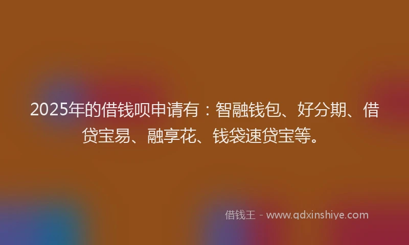 2025年的借钱呗申请有：智融钱包、好分期、借贷宝易、融享花、钱袋速贷宝等。