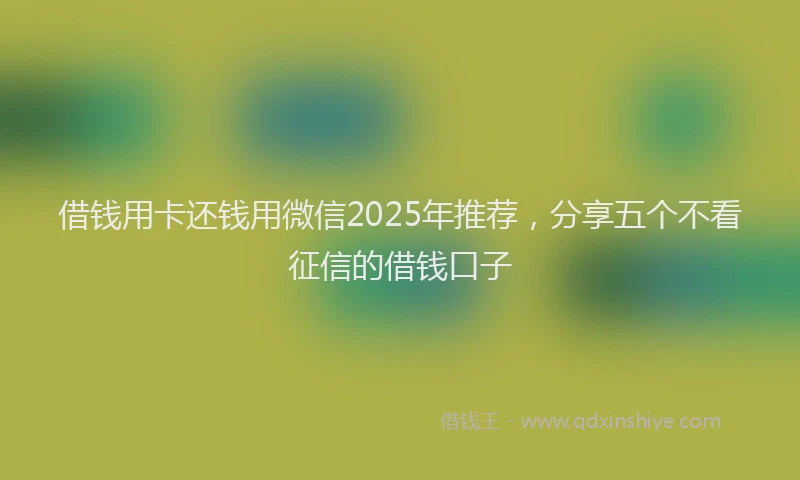 借钱用卡还钱用微信2025年推荐，分享五个不看征信的借钱口子