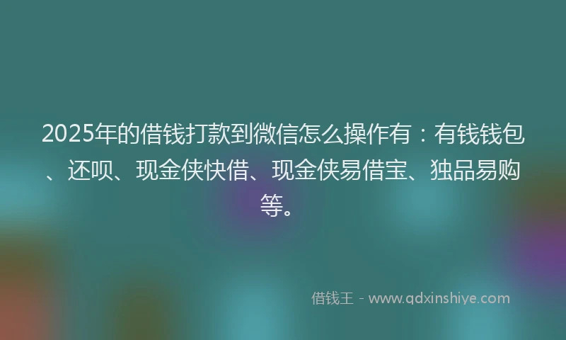 2025年的借钱打款到微信怎么操作有：有钱钱包、还呗、现金侠快借、现金侠易借宝、独品易购等。