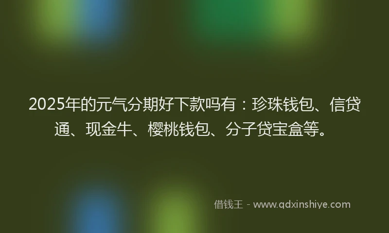 2025年的元气分期好下款吗有：珍珠钱包、信贷通、现金牛、樱桃钱包、分子贷宝盒等。