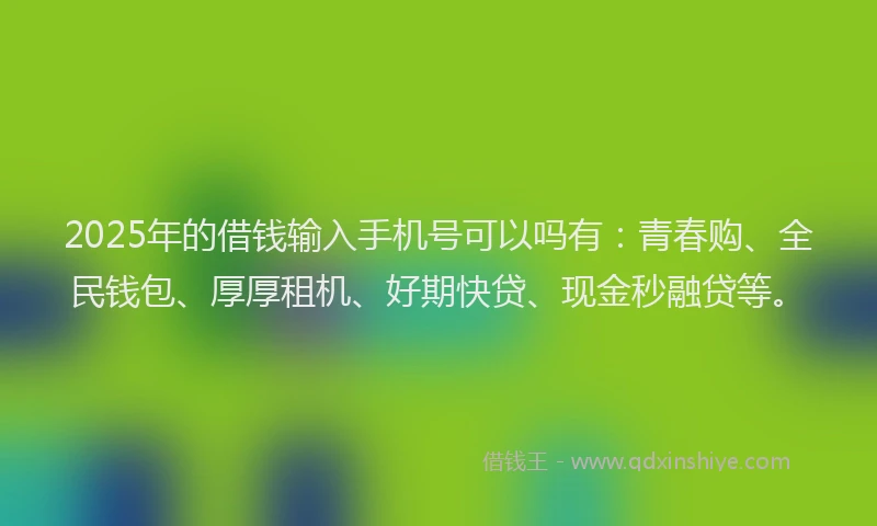 2025年的借钱输入手机号可以吗有：青春购、全民钱包、厚厚租机、好期快贷、现金秒融贷等。