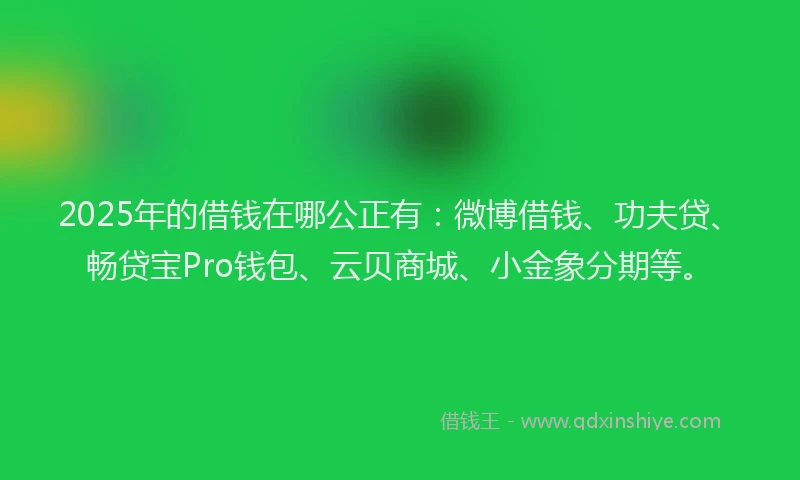 2025年的借钱在哪公正有：微博借钱、功夫贷、畅贷宝Pro钱包、云贝商城、小金象分期等。