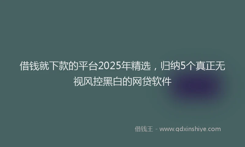 借钱就下款的平台2025年精选，归纳5个真正无视风控黑白的网贷软件