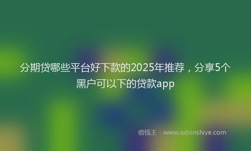 分期贷哪些平台好下款的2025年推荐，分享5个黑户可以下的贷款app