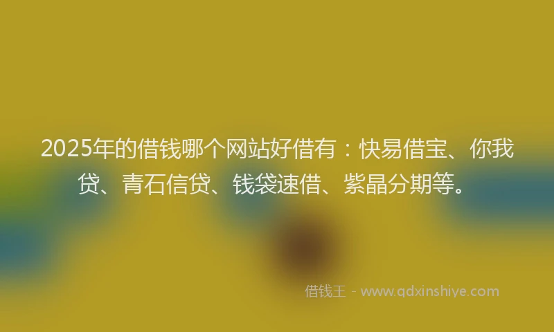 2025年的借钱哪个网站好借有：快易借宝、你我贷、青石信贷、钱袋速借、紫晶分期等。