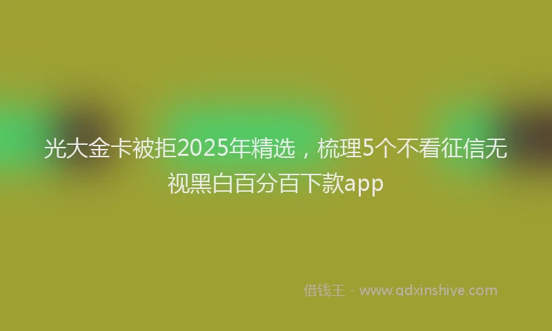 光大金卡被拒2025年精选，梳理5个不看征信无视黑白百分百下款app