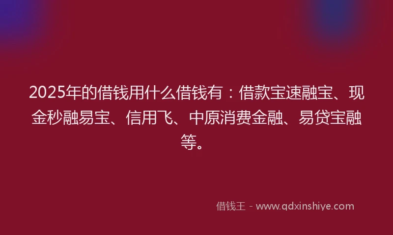 2025年的借钱用什么借钱有：借款宝速融宝、现金秒融易宝、信用飞、中原消费金融、易贷宝融等。