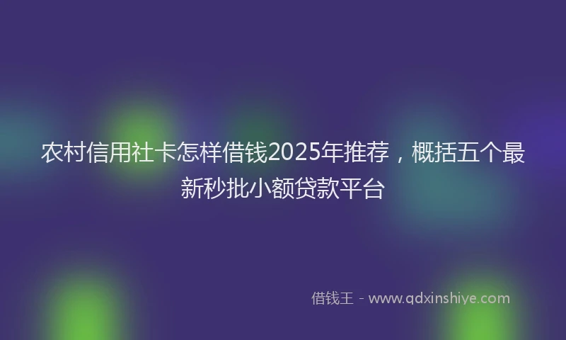农村信用社卡怎样借钱2025年推荐，概括五个最新秒批小额贷款平台