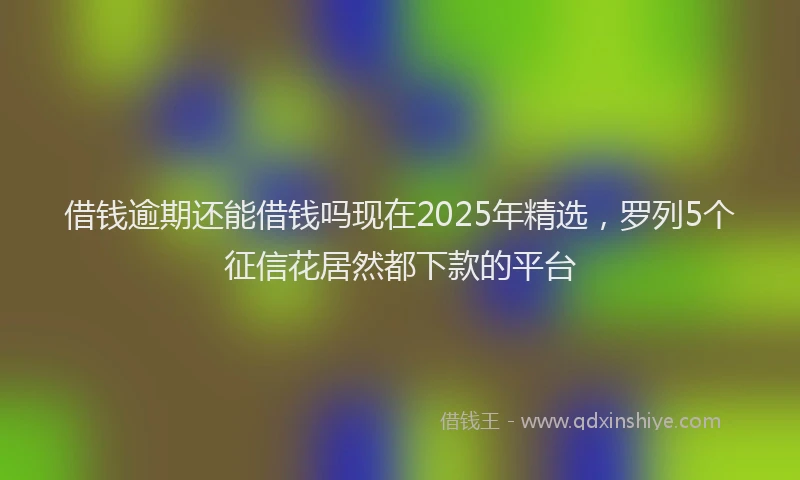 借钱逾期还能借钱吗现在2025年精选，罗列5个征信花居然都下款的平台