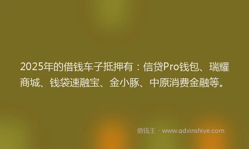 2025年的借钱车子抵押有：信贷Pro钱包、瑞耀商城、钱袋速融宝、金小豚、中原消费金融等。