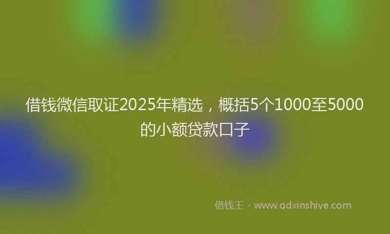 借钱微信取证2025年精选，概括5个1000至5000的小额贷款口子