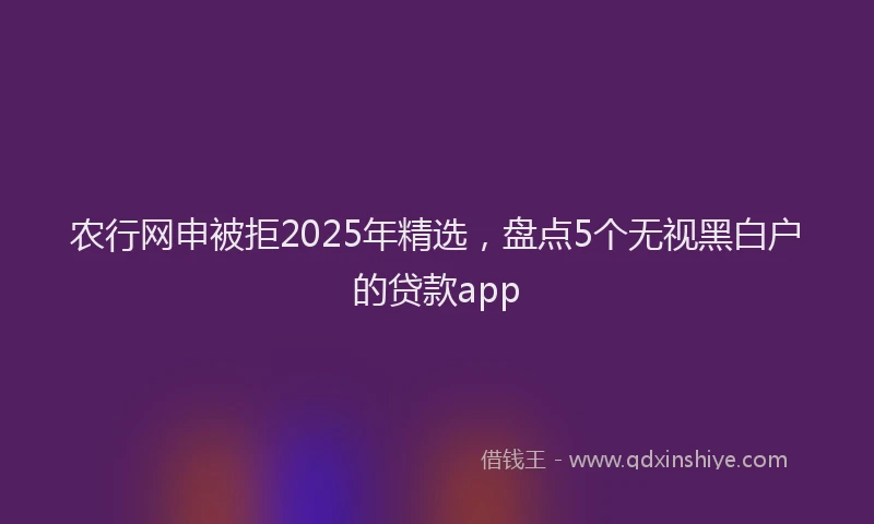 农行网申被拒2025年精选，盘点5个无视黑白户的贷款app