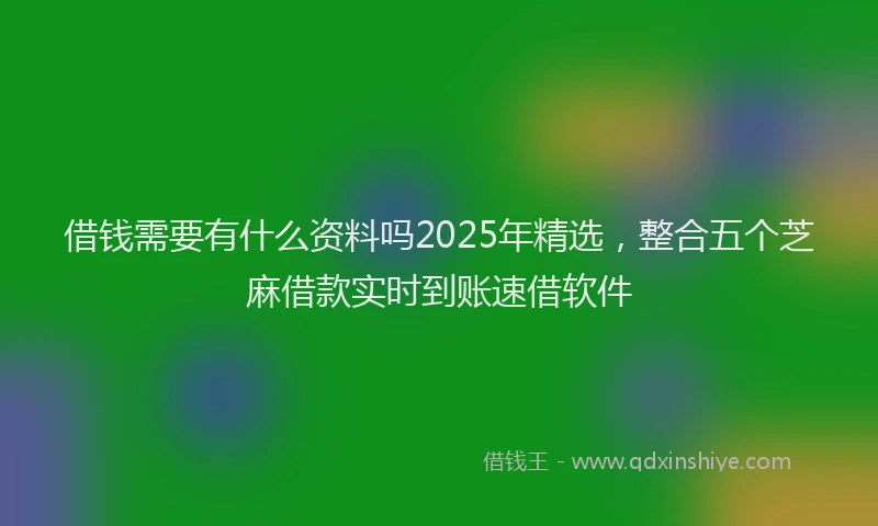 借钱需要有什么资料吗2025年精选，整合五个芝麻借款实时到账速借软件