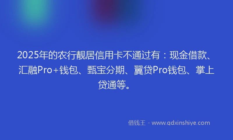 2025年的农行靓居信用卡不通过有：现金借款、汇融Pro+钱包、甄宝分期、翼贷Pro钱包、掌上贷通等。