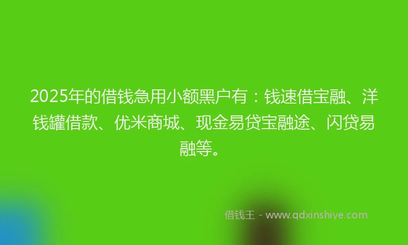 2025年的借钱急用小额黑户有：钱速借宝融、洋钱罐借款、优米商城、现金易贷宝融途、闪贷易融等。