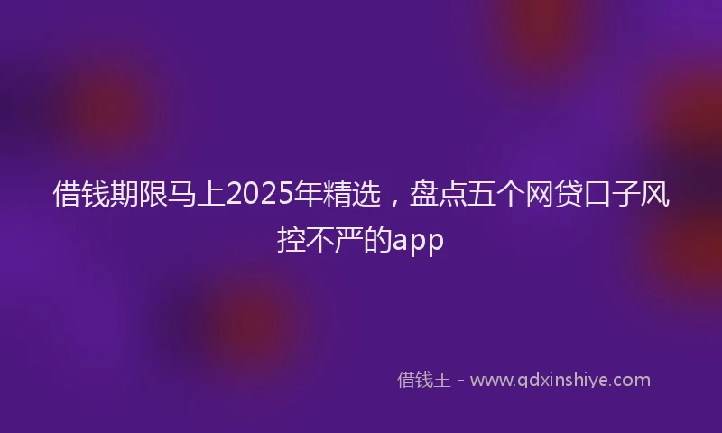借钱期限马上2025年精选，盘点五个网贷口子风控不严的app