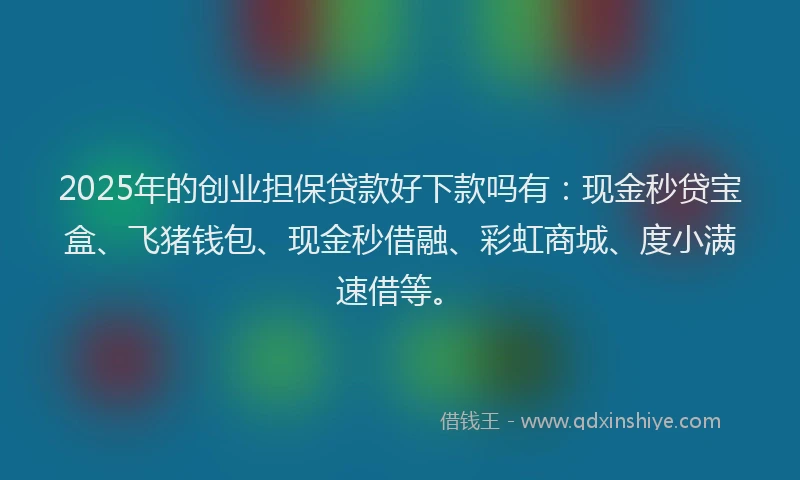 2025年的创业担保贷款好下款吗有：现金秒贷宝盒、飞猪钱包、现金秒借融、彩虹商城、度小满速借等。