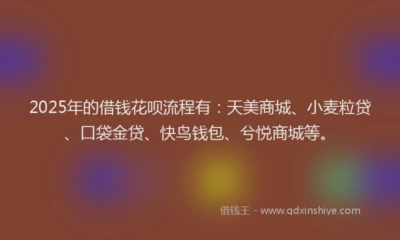 2025年的借钱花呗流程有：天美商城、小麦粒贷、口袋金贷、快鸟钱包、兮悦商城等。
