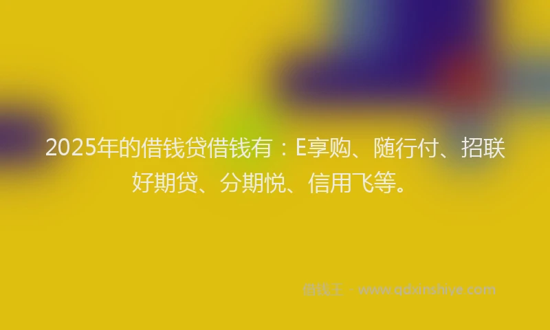 2025年的借钱贷借钱有：E享购、随行付、招联好期贷、分期悦、信用飞等。