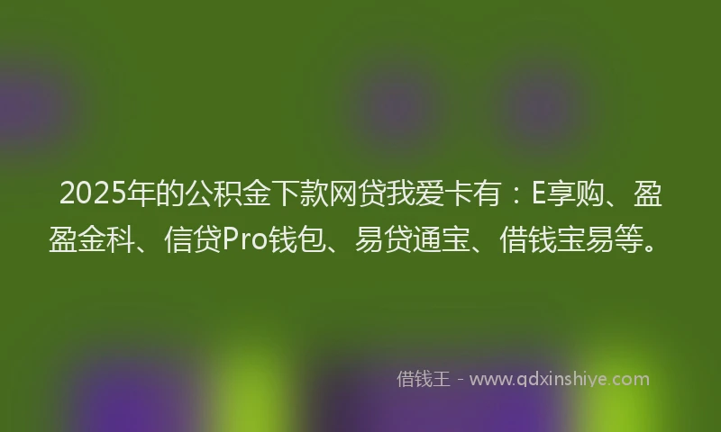 2025年的公积金下款网贷我爱卡有：E享购、盈盈金科、信贷Pro钱包、易贷通宝、借钱宝易等。