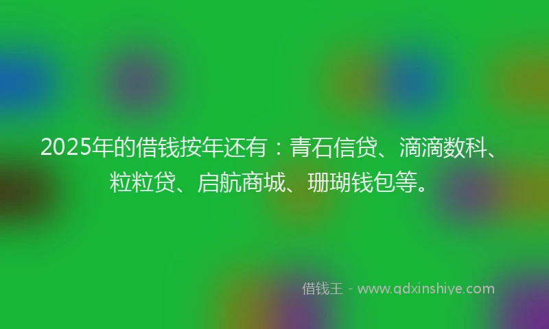 2025年的借钱按年还有：青石信贷、滴滴数科、粒粒贷、启航商城、珊瑚钱包等。