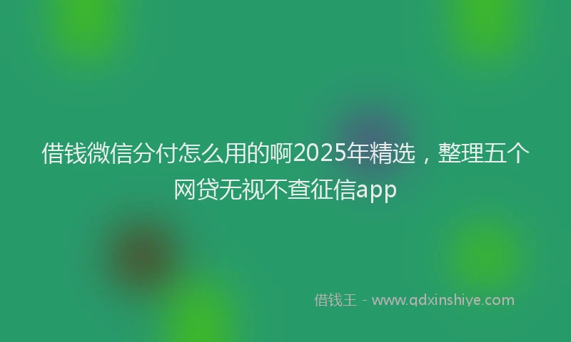 借钱微信分付怎么用的啊2025年精选，整理五个网贷无视不查征信app