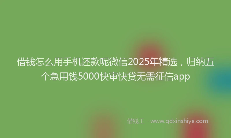借钱怎么用手机还款呢微信2025年精选，归纳五个急用钱5000快审快贷无需征信app