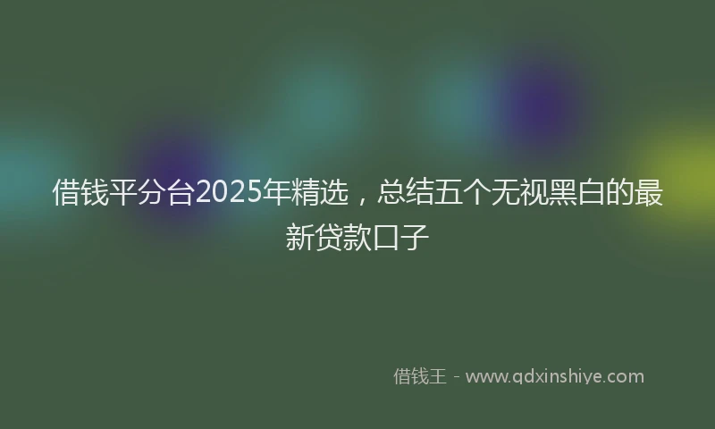 借钱平分台2025年精选，总结五个无视黑白的最新贷款口子