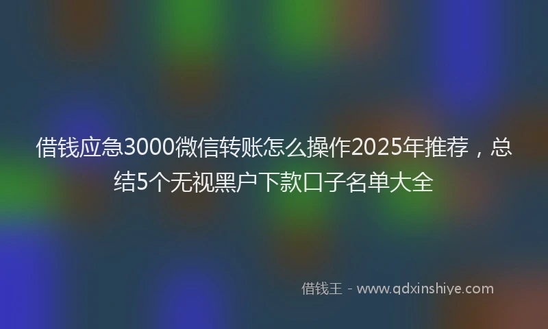 借钱应急3000微信转账怎么操作2025年推荐，总结5个无视黑户下款口子名单大全